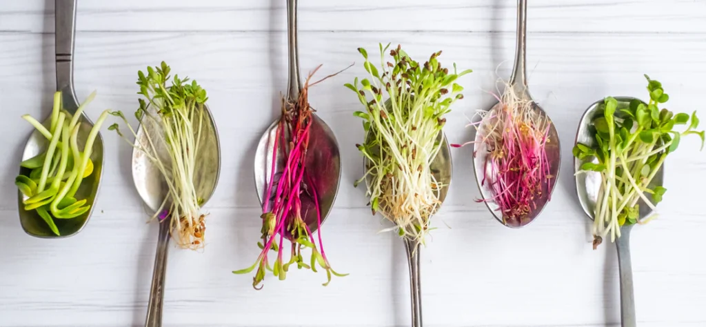 Microgreens spoons