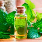 Citronella
