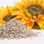 Semillasdegirasol