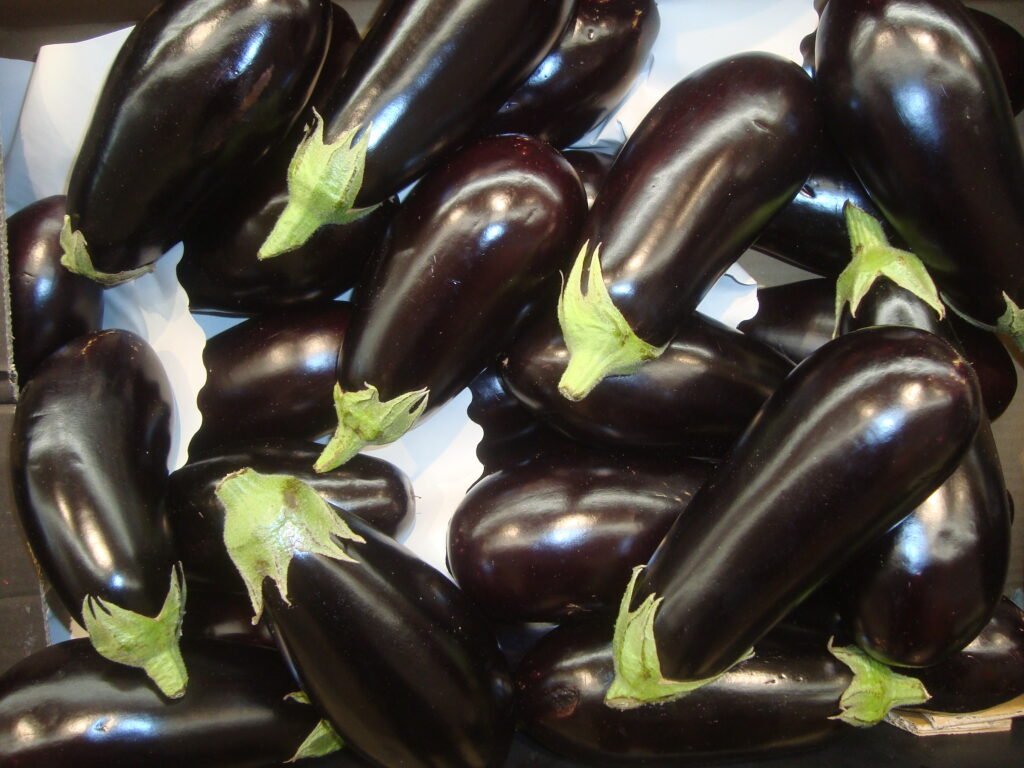 Berenjenas negras