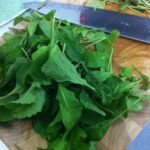 Rucula recién cogida del maceto huerto para hacer una ensaladica