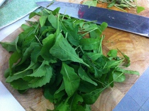 Rucula recién cogida del maceto huerto para hacer una ensaladica