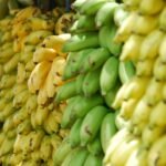 closeup photo of bunch of bananas