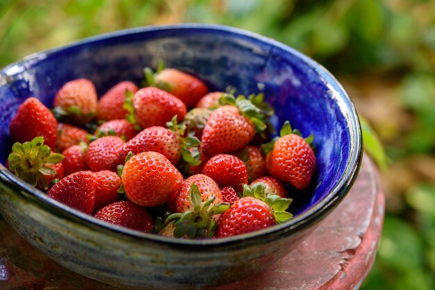 Fruti