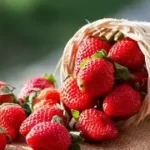 Frutilla