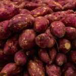 Batata