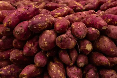 Batata