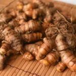 Curcuma