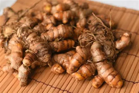 Curcuma