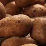 Papas