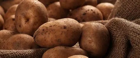 Papas