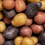 A variety of colorful potatoes are piled together.