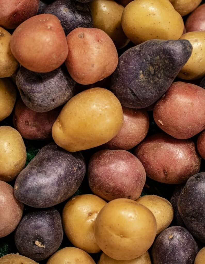A variety of colorful potatoes are piled together.