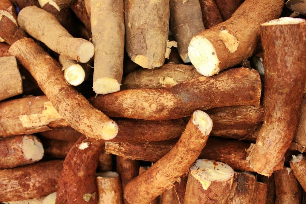 Pile of raw cassava roots