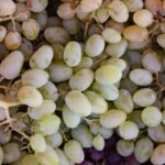 a bunch of white grapes sitting on top of a table