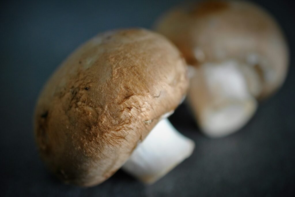 Two brown mushrooms on a dark surface