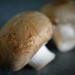 Two brown mushrooms on a dark surface