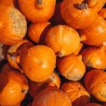 a pile of oranges sitting next to each other