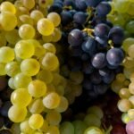 a close up of a bunch of grapes