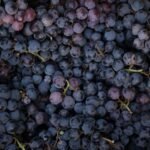purple grapes lot