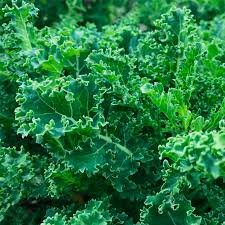 Kale